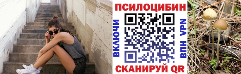 Псилоцибиновые грибы Cubensis Дудинка